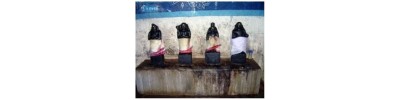 242. திருக்குரங்கணின்முட்டம்